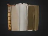 Grinning Book Bust 📕-1