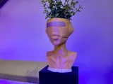 BOT PLANTER-5