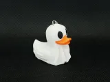 GHOST DUCK-1