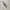 Bookmark Eren Attaque of Titans
