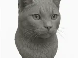 Cat bust-0