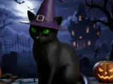 HALLOWEEN WITCH CAT-0