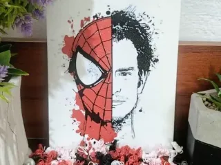 Recuadro de Spiderman de Andrew