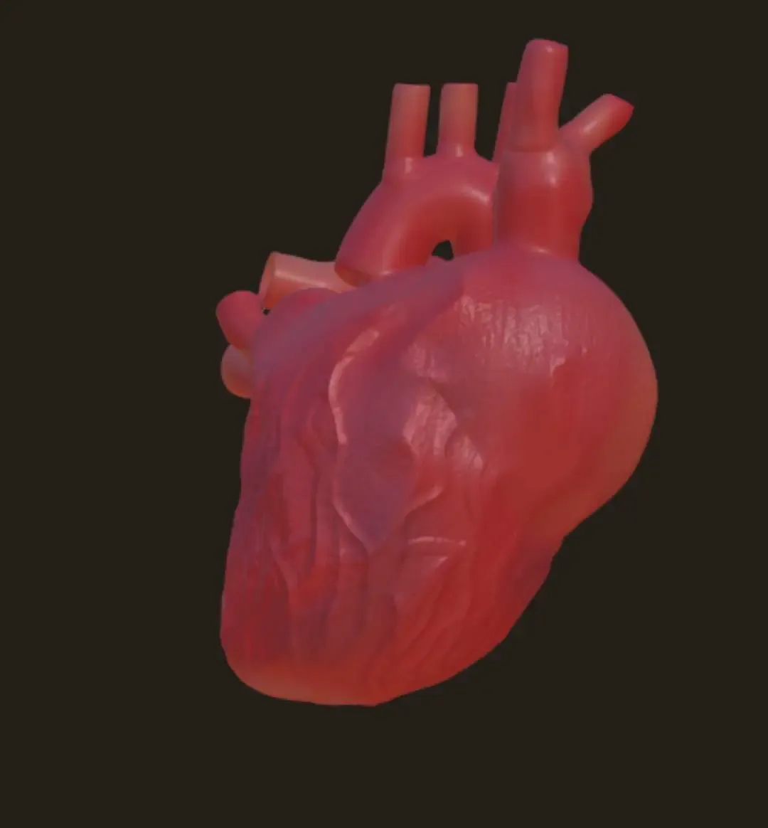 human heart ❤️