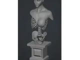 Crowned Skeleton + 3 Modelle-1