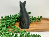 gatti-2