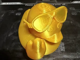 Cool Duckie