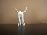 Moose-3