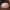 Teelichthalter / Candle holder