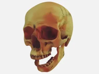 SCREAMING SKULL