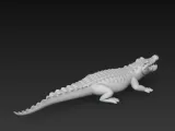 crocodilo-2