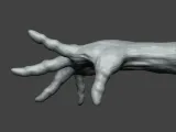 Human Hand Gesture-3