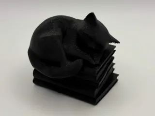 Cat Sleeping on Books