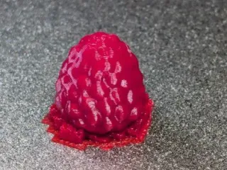 Raspberry