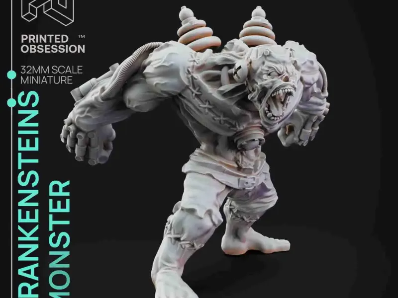 Frankenstein - Il mostro del dottor Frankenstein - Supporto - Illustrazione