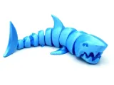 Articulated leopard shark-0