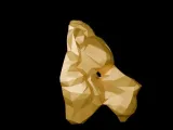 LEON MASK-1