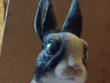 rabbit-0