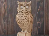 Owl-0