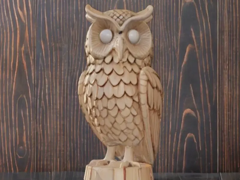 Owl