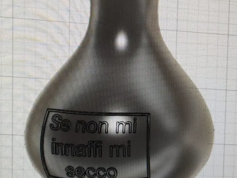 vaso "se non mi innaffi mi secco"