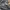 Panzer IV Ausf. F1 F early - miniature ww2 carro armato tedesco tabl