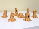 Tree Trunks and Stumps-3