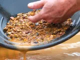 Pan for Gold-1