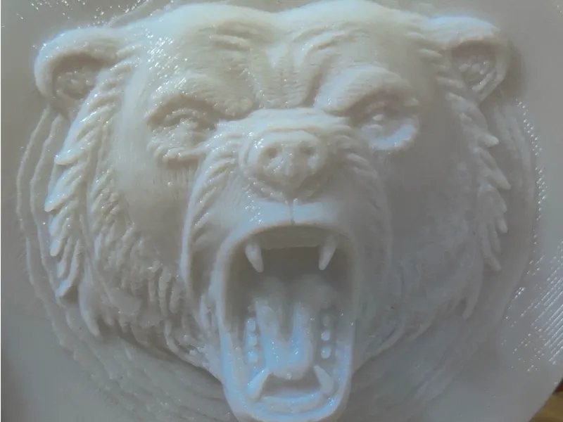 Embossed roaring bear token