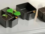 Auto Seed Starter-0