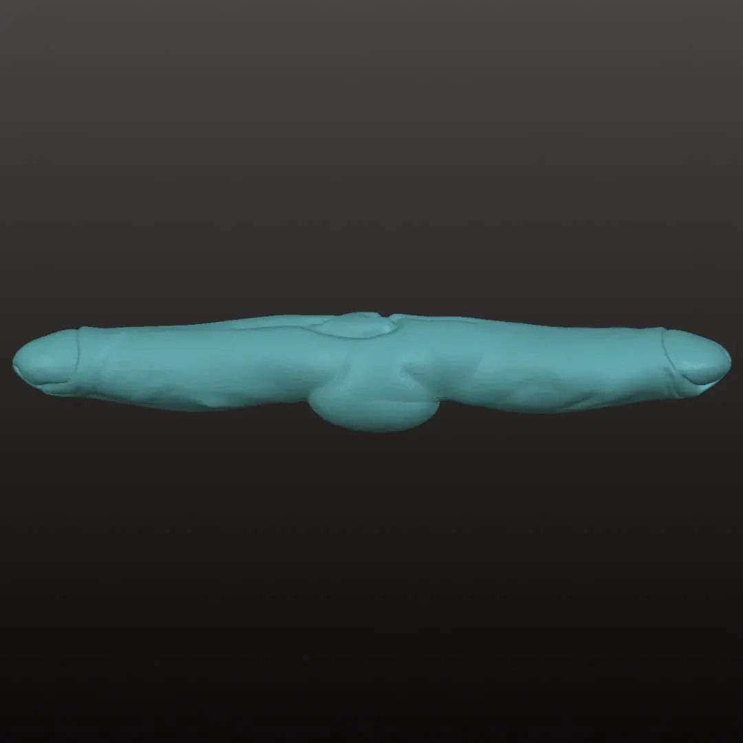 Personal Accessories STL Download - Double dildoby TTenebrisX Personal Accessories STL Download - Double dildoby TTenebrisX
