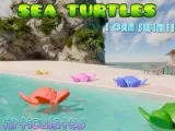SEA TURTLE-3