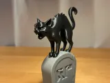 Kat op graf-2