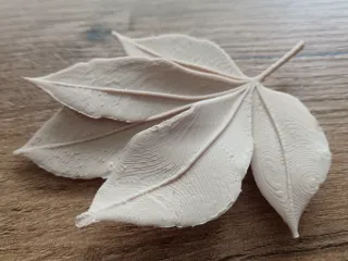 Leaf
