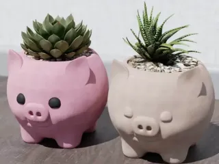 Pig