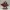 Crimson Oath Knight – Regal Armored Warrior 3D Figurine