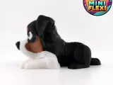 Mini Flexi Australian Shepherd - No Support-5