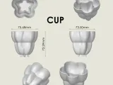 Decorative Cup-4