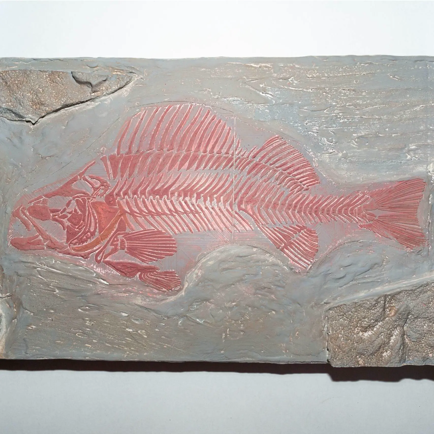 Fossil Fish Replica – Paleoart Wall Display