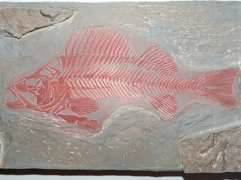 Fossil Fish Replica – Paleoart Wall Display