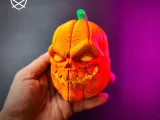 Pumpkin Wall-5