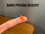Mini Prism Buddy-0