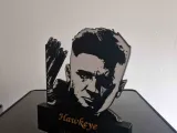 Hawkeye Display-1