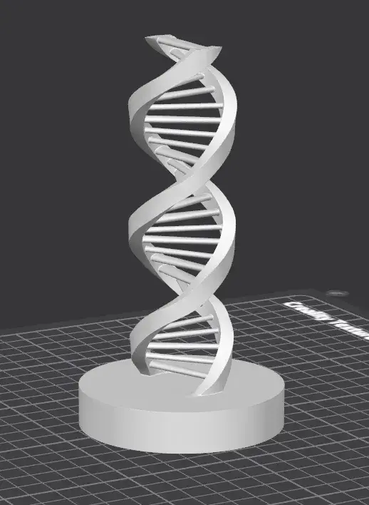 DNA Double Helix Desk Sculpture – 3D Printed Scientific Disp