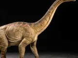 Brontosauro-0