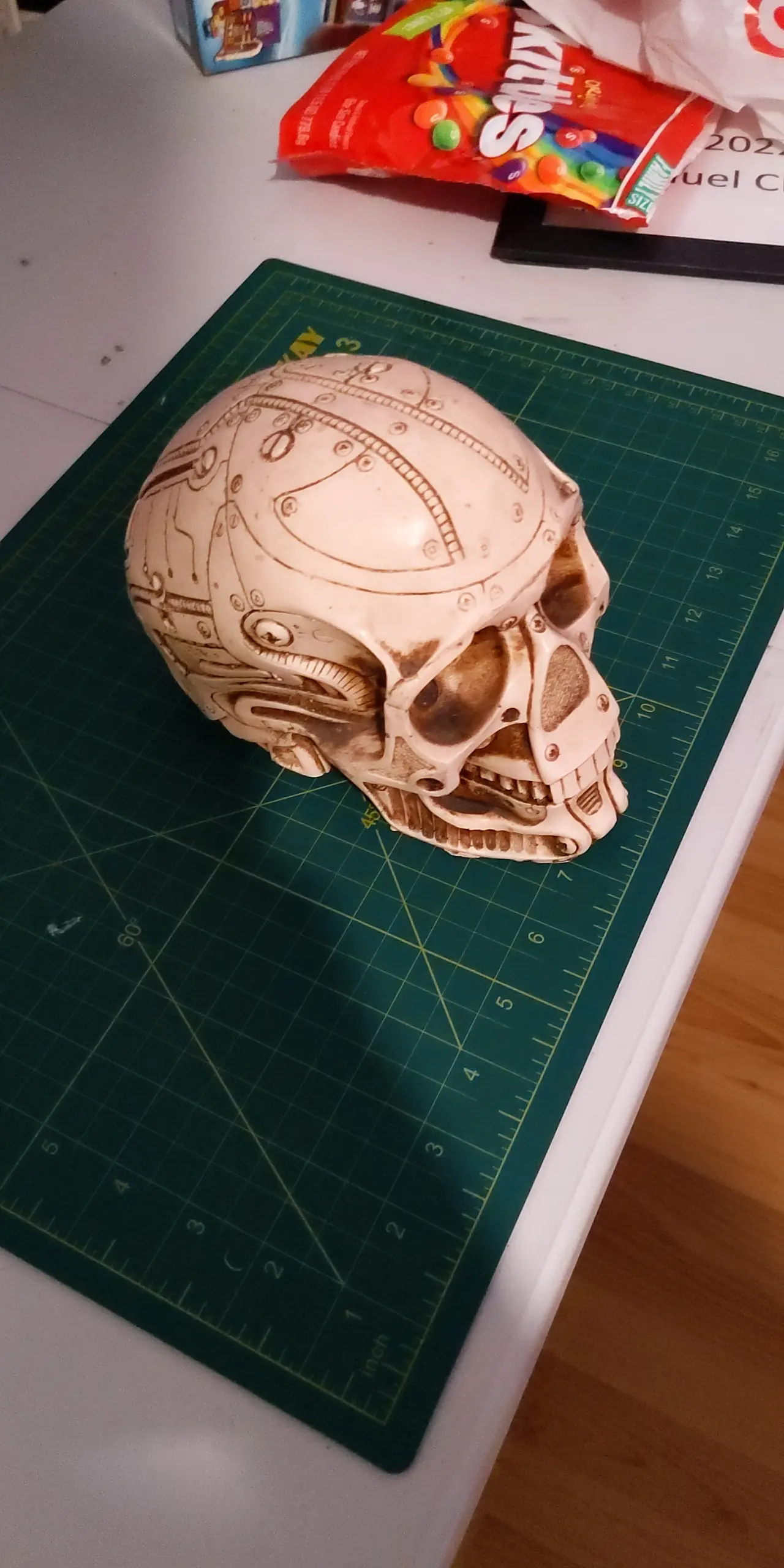 skull 1