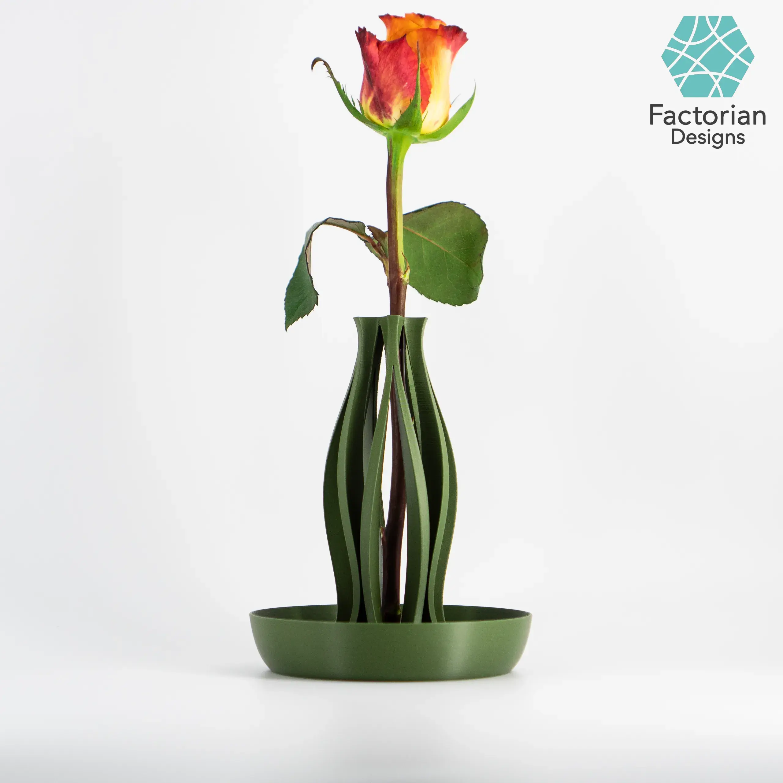 Mordern Vase "Emberflare" | Propagation Vase STL to 3D print