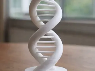 DNA Double Helix