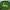 Jhon Deere Key Chain