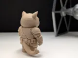 Grumpy Cat Mandalorian-4